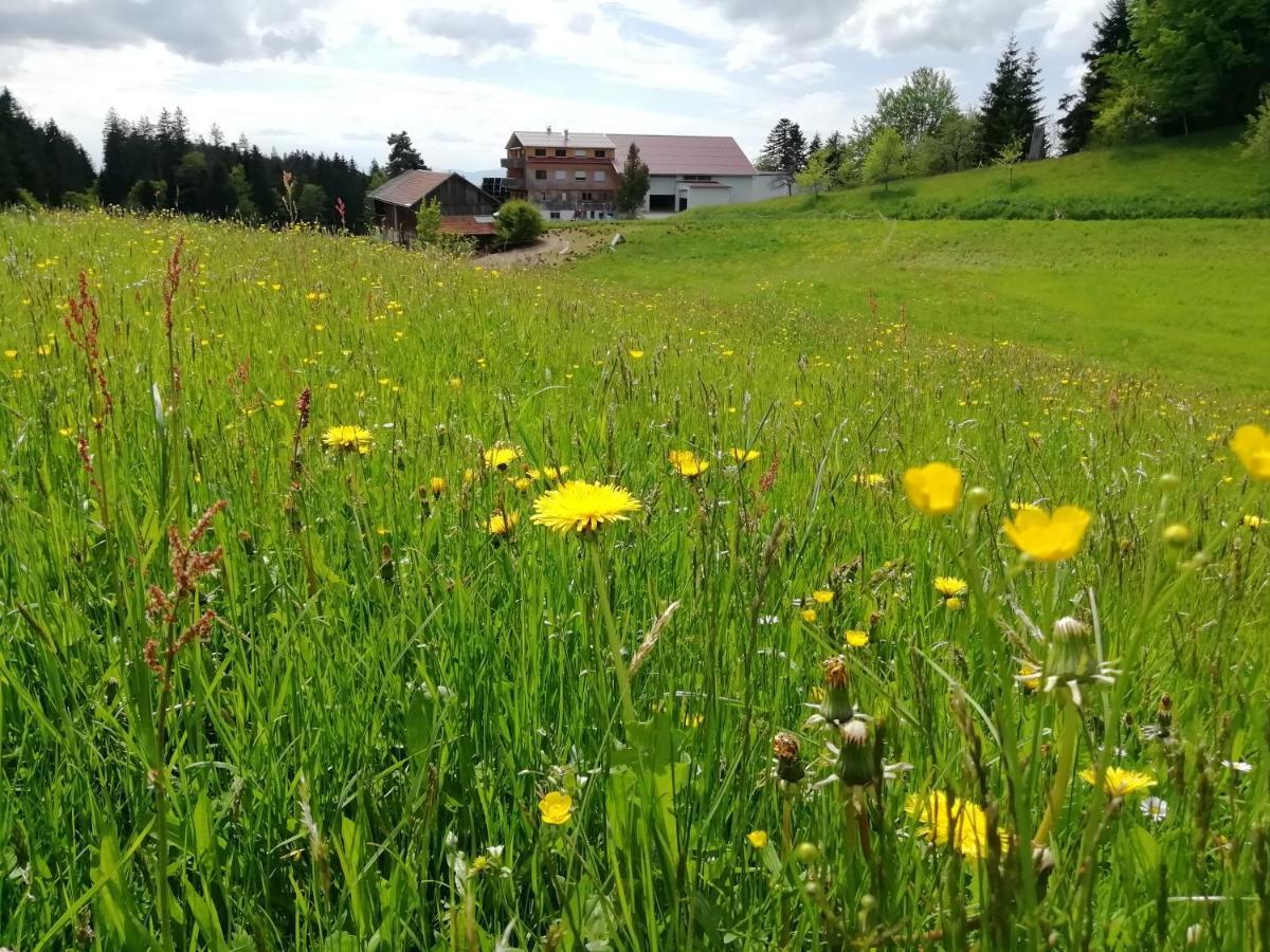 Apartmán Stockreutehof Sulzberg  Exteriér fotografie