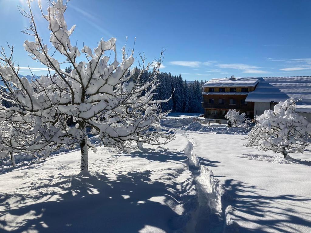 Apartmán Stockreutehof Sulzberg  Exteriér fotografie