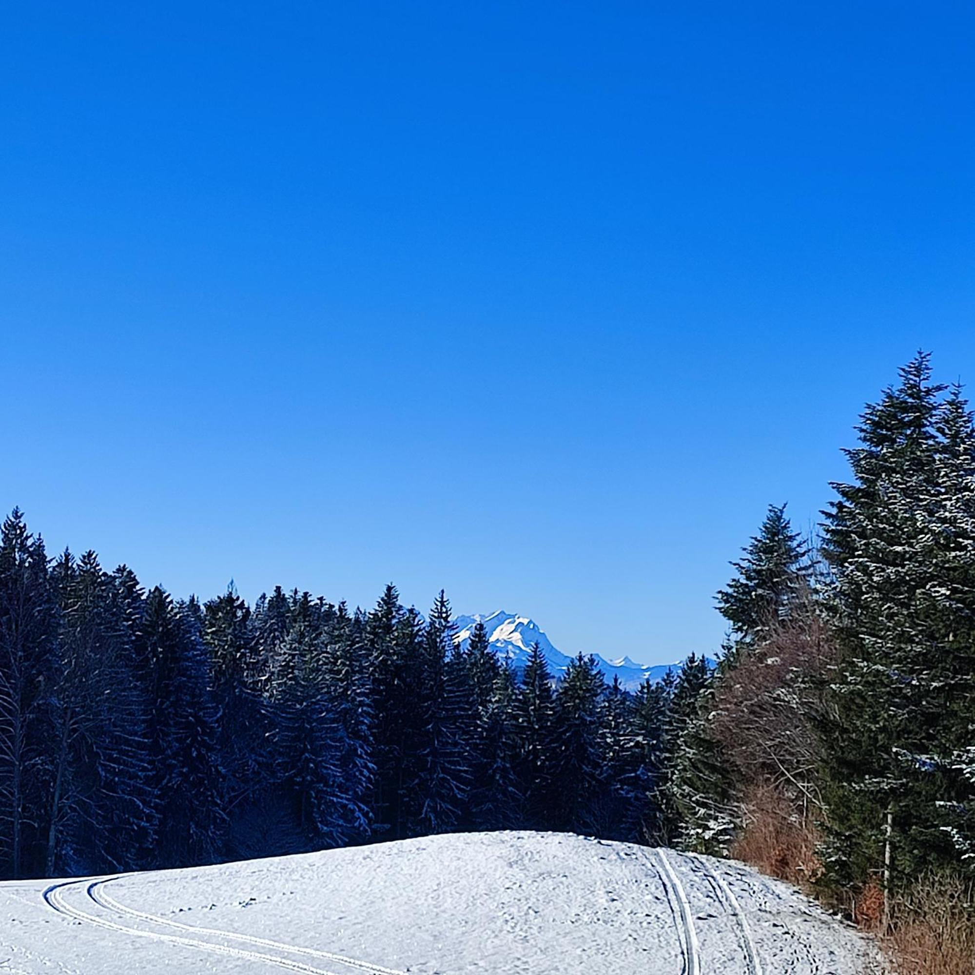 Apartmán Stockreutehof Sulzberg  Exteriér fotografie