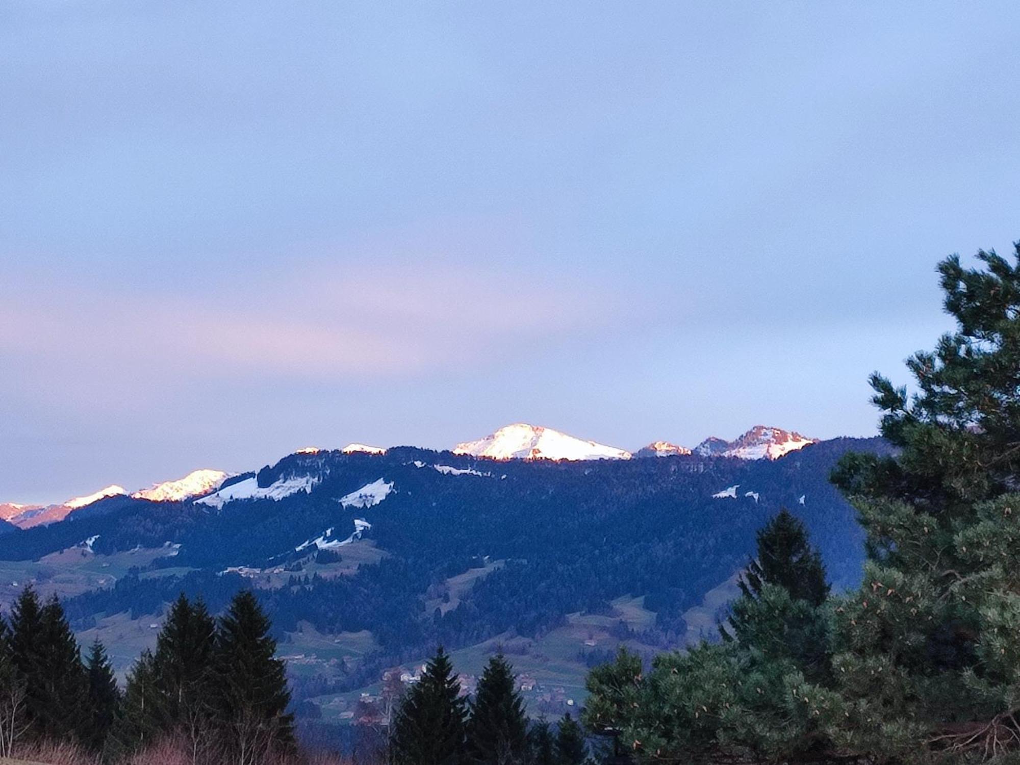 Apartmán Stockreutehof Sulzberg  Exteriér fotografie