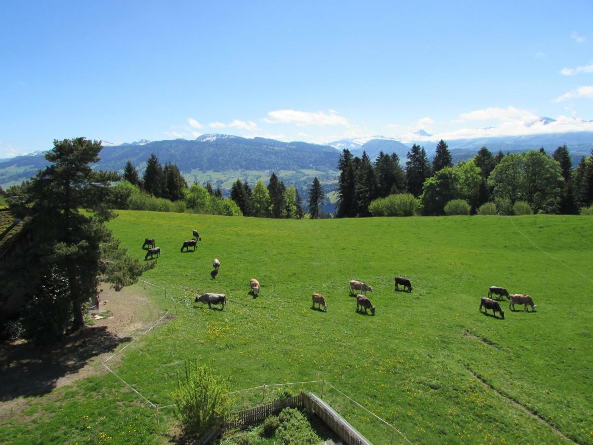 Apartmán Stockreutehof Sulzberg  Exteriér fotografie